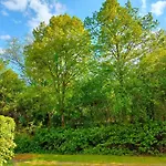 Rehblick Hohenwarth