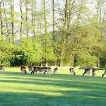 Lägenhet Rehblick
